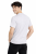 T-shirt męski z krótkim rękawem gramatura 190g jasny szary widok z tyłu.png